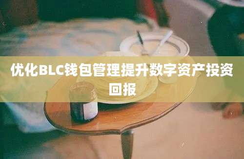 优化BLC钱包管理提升数字资产投资回报