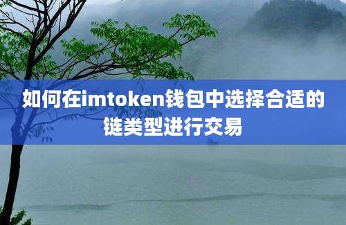 如何在imtoken钱包中选择合适的链类型进行交易