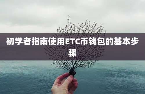 初学者指南使用ETC币钱包的基本步骤