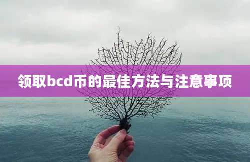 领取bcd币的最佳方法与注意事项