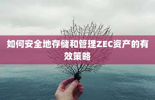 如何安全地存储和管理ZEC资产的有效策略