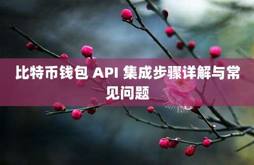 比特币钱包 API 集成步骤详解与常见问题