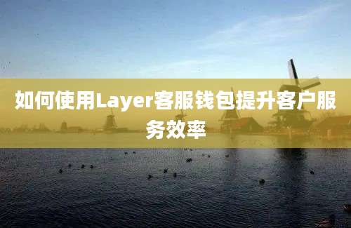 如何使用Layer客服钱包提升客户服务效率