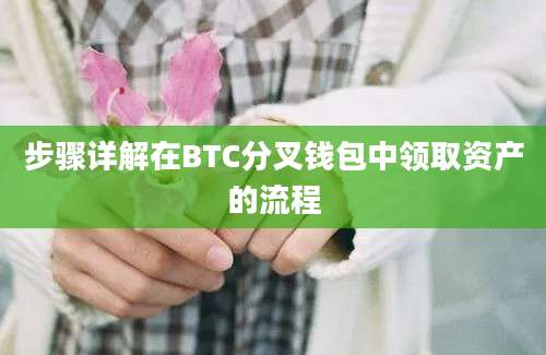 步骤详解在BTC分叉钱包中领取资产的流程