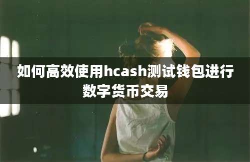 如何高效使用hcash测试钱包进行数字货币交易