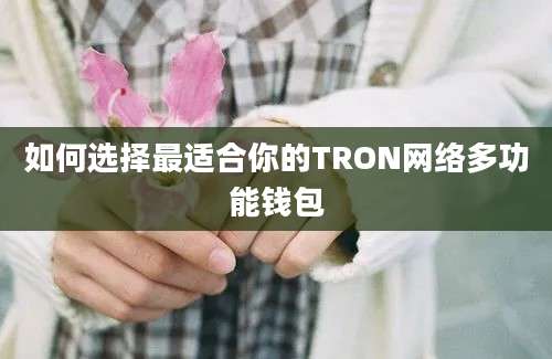 如何选择最适合你的TRON网络多功能钱包