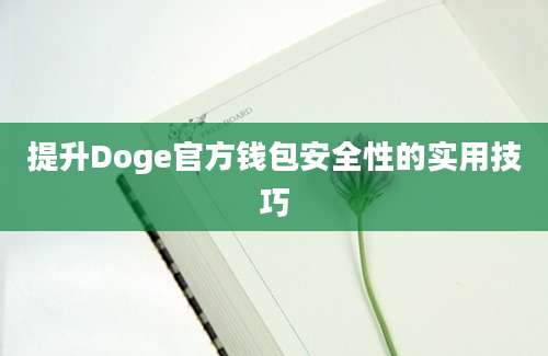 提升Doge官方钱包安全性的实用技巧