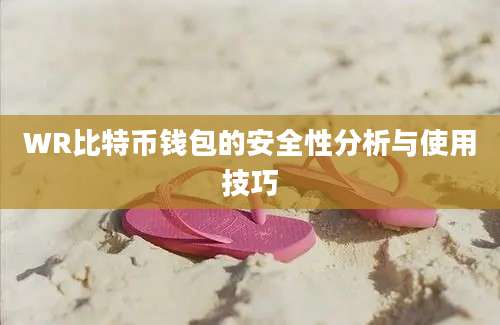 WR比特币钱包的安全性分析与使用技巧