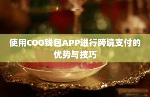 使用COO钱包APP进行跨境支付的优势与技巧