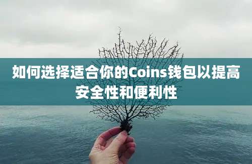 如何选择适合你的Coins钱包以提高安全性和便利性