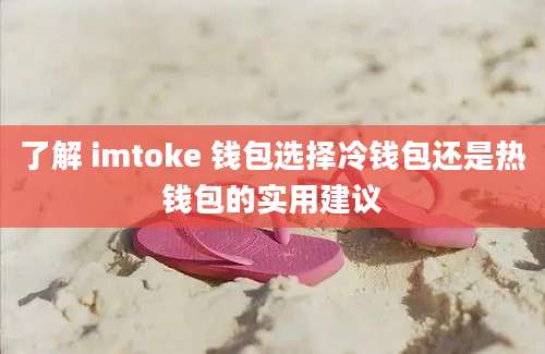 了解 imtoke 钱包选择冷钱包还是热钱包的实用建议