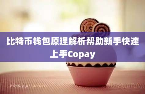 比特币钱包原理解析帮助新手快速上手Copay