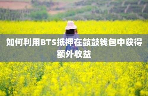 如何利用BTS抵押在鼓鼓钱包中获得额外收益