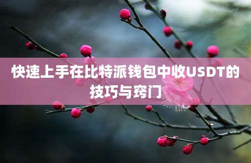 快速上手在比特派钱包中收USDT的技巧与窍门