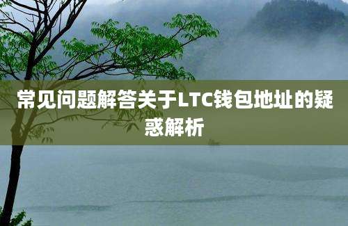 常见问题解答关于LTC钱包地址的疑惑解析