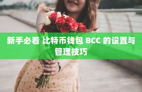 新手必看 比特币钱包 BCC 的设置与管理技巧