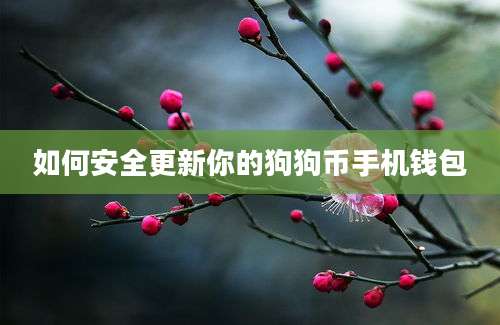 如何安全更新你的狗狗币手机钱包