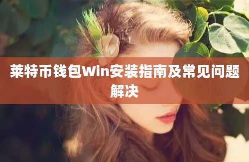 莱特币钱包Win安装指南及常见问题解决