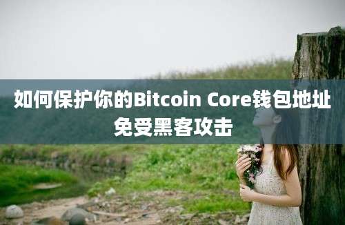 如何保护你的Bitcoin Core钱包地址免受黑客攻击