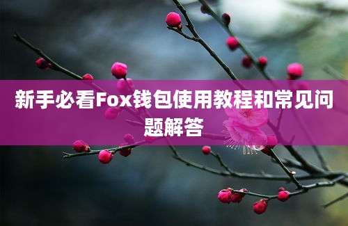 新手必看Fox钱包使用教程和常见问题解答