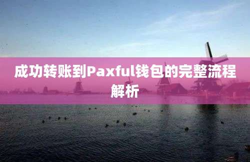 成功转账到Paxful钱包的完整流程解析