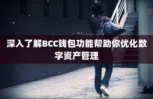 深入了解BCC钱包功能帮助你优化数字资产管理