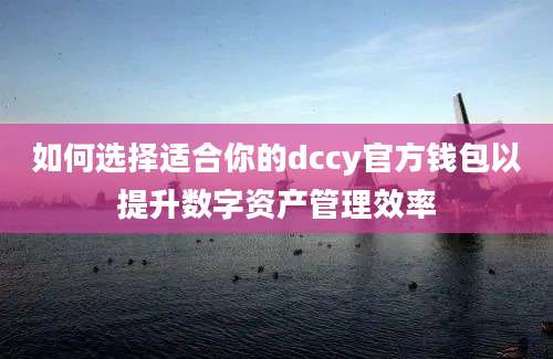 如何选择适合你的dccy官方钱包以提升数字资产管理效率