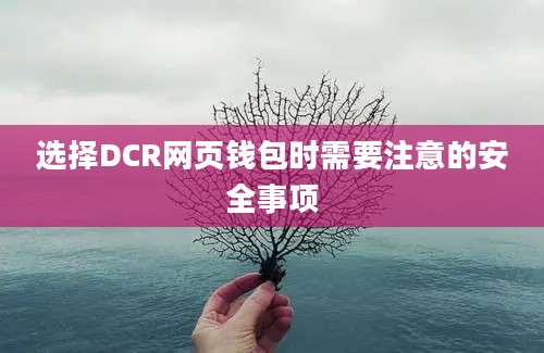 选择DCR网页钱包时需要注意的安全事项