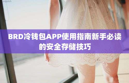 BRD冷钱包APP使用指南新手必读的安全存储技巧