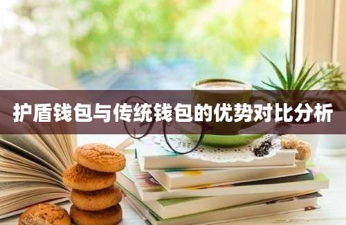 护盾钱包与传统钱包的优势对比分析