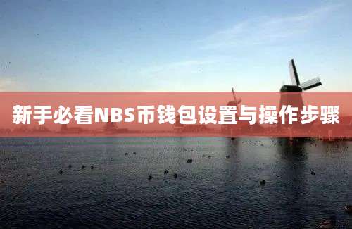 新手必看NBS币钱包设置与操作步骤