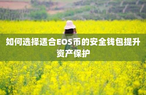 如何选择适合EOS币的安全钱包提升资产保护