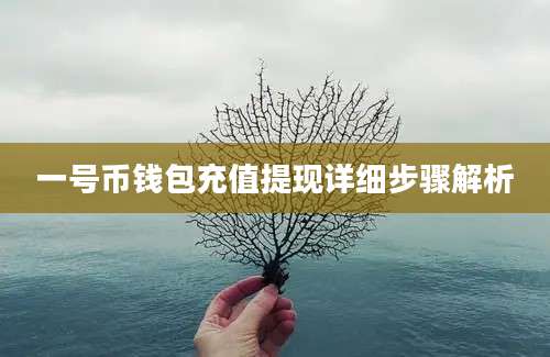 一号币钱包充值提现详细步骤解析