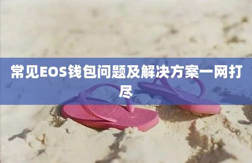 常见EOS钱包问题及解决方案一网打尽