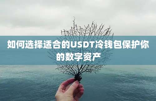 如何选择适合的USDT冷钱包保护你的数字资产