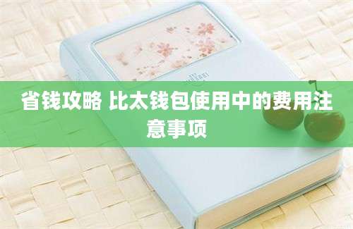 省钱攻略 比太钱包使用中的费用注意事项